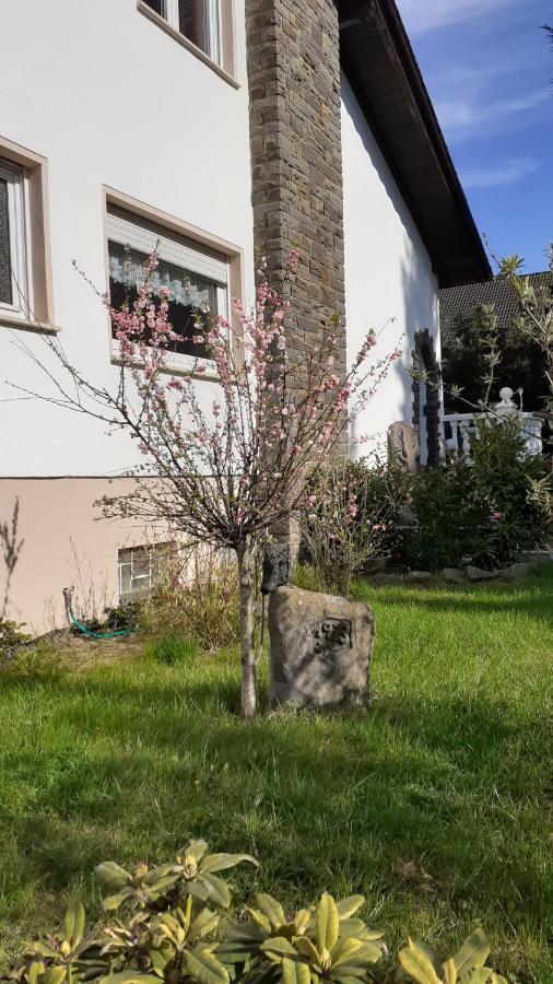 Im Vulkanland Fewo Bis 6 Personen Ettringen  Exteriér fotografie